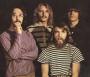 Биография Creedence Clearwater Revival